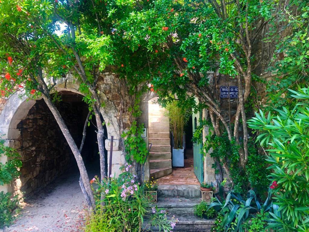 Mas Luis Alvarez La Capelle-et-Masmolene Exterior foto